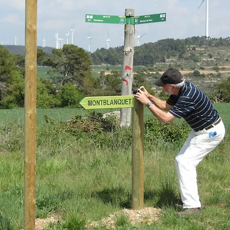 Can Sulo Semesterbostad Vallbona De Les Monges
